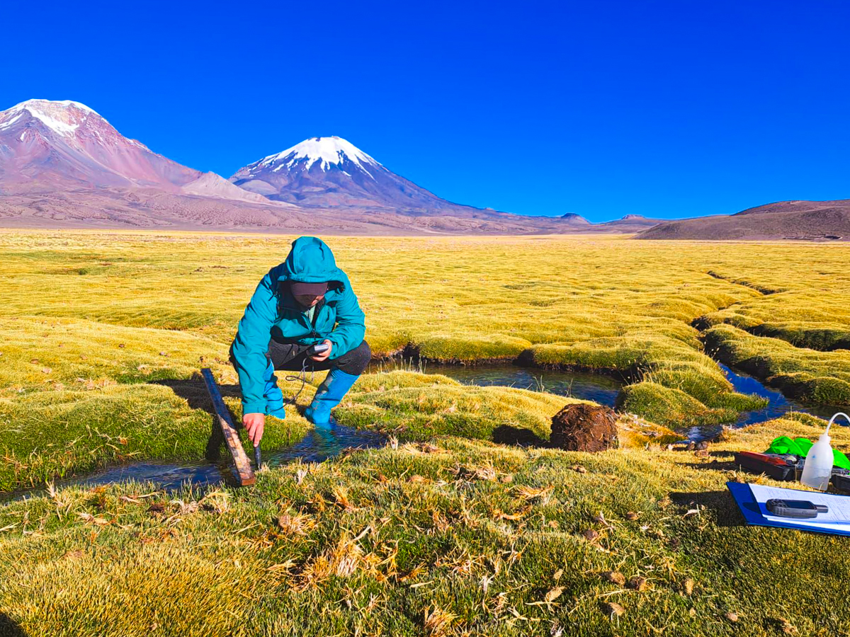 Monitoreo Hídrico en el sector, Caquena, comuna de Putre