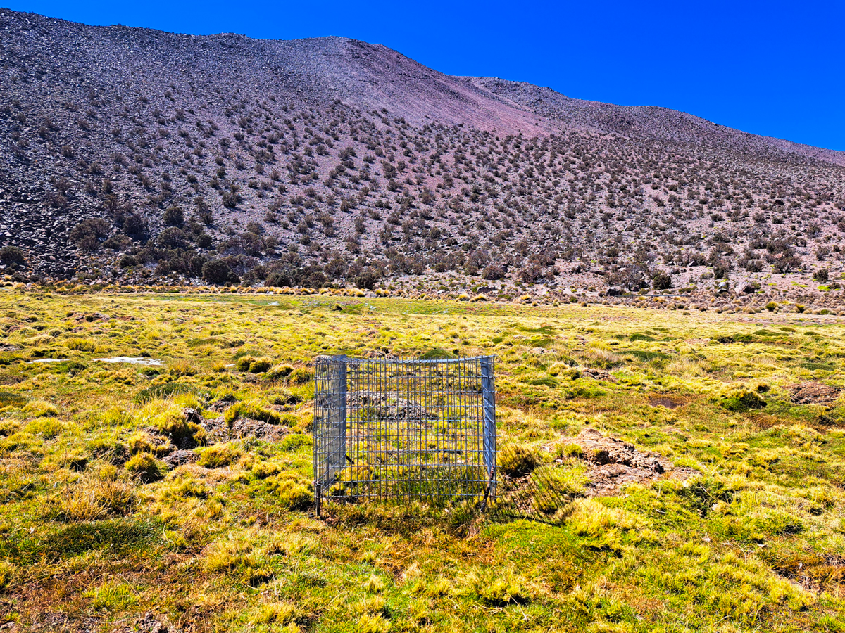 Celda de Exclusión en Puquio, Guallatire, comuna de Putre