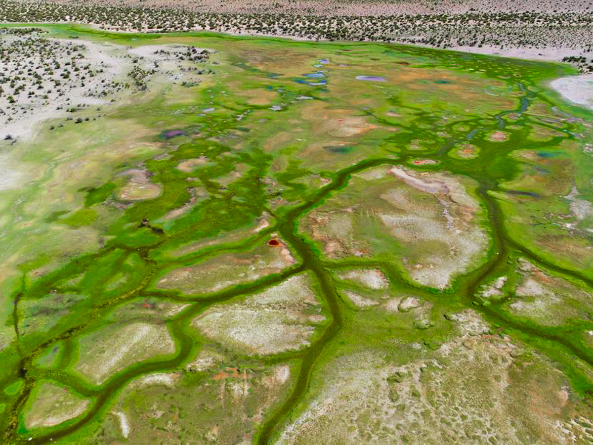 Fotografía aérea sector Huaytane, comuna de Colchane