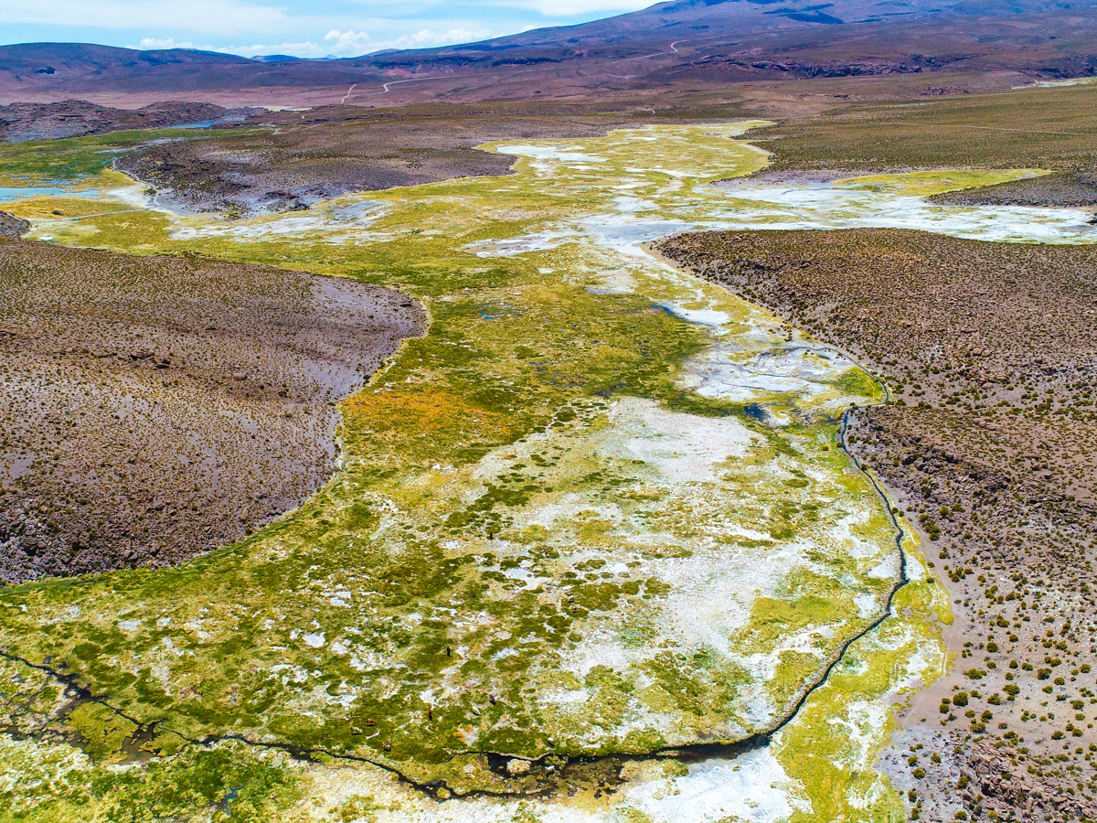 Fotografía aérea Bofedal de Sura, Lupe, comuna de Colchane