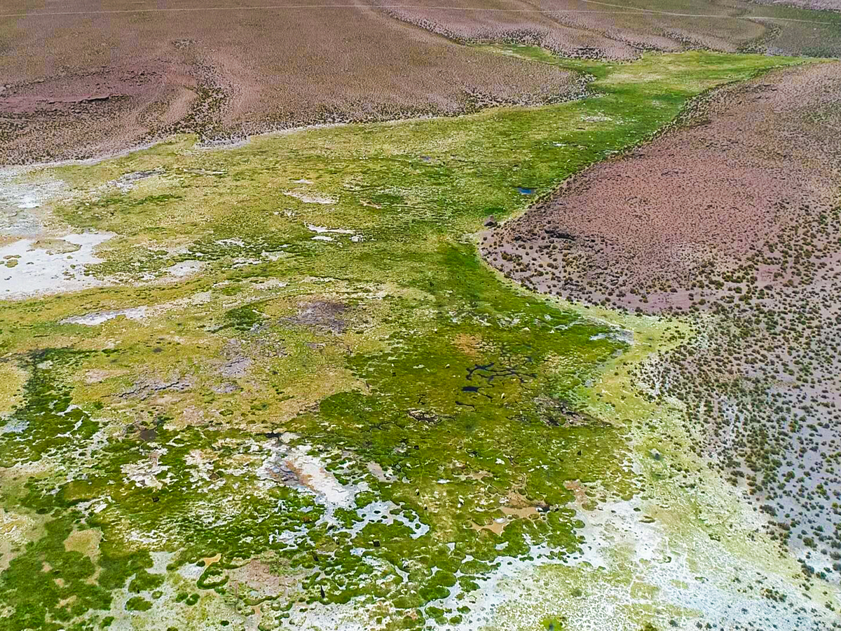 Fotografía aérea Bofedal de Lupe, comuna de Colchane