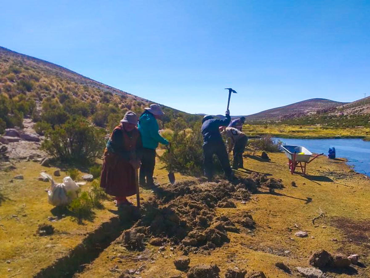 Trabajo conjunto con la comunidad de Quebe, comuna de Colchane