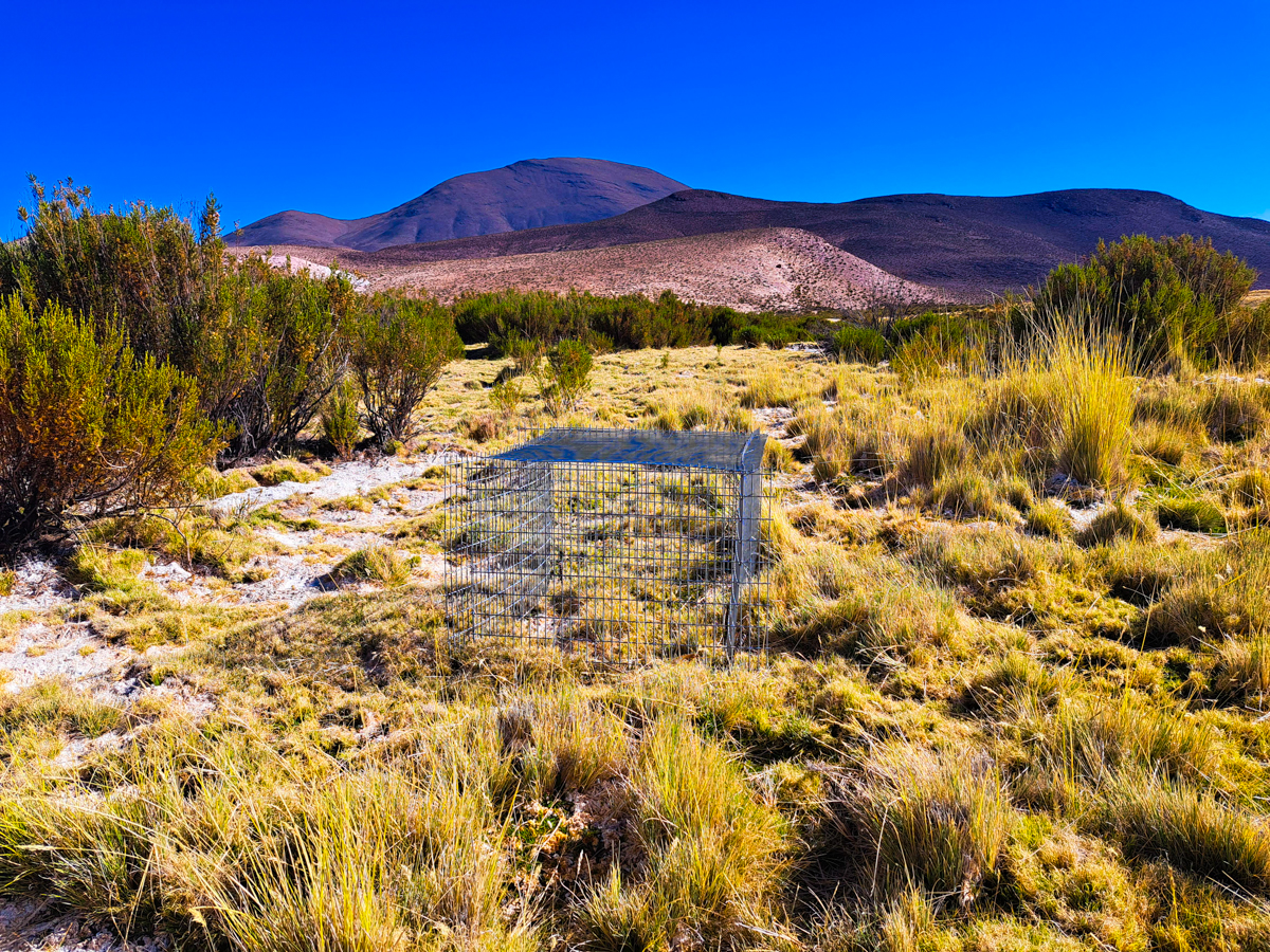 Celda de Exclusión en el sector, Cultane, comuna de Huara