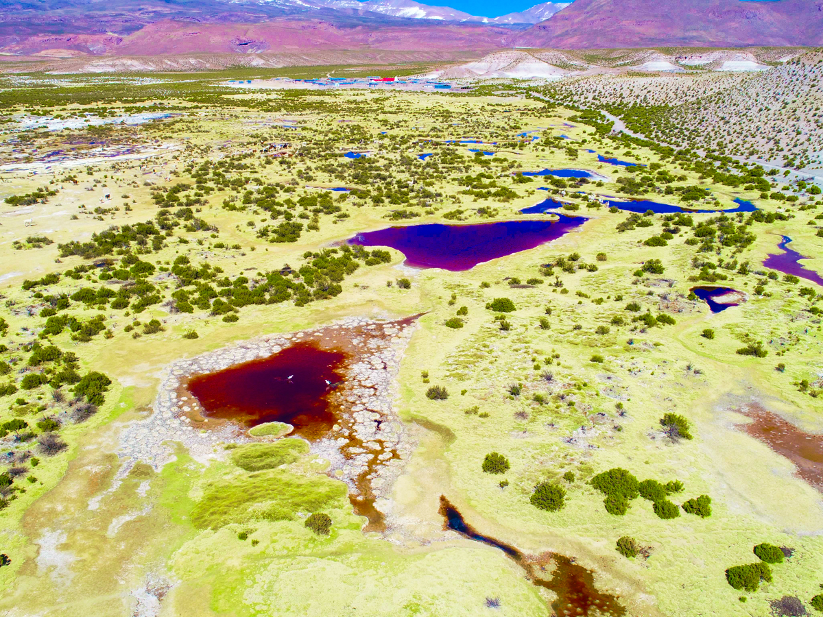 Fotografía aérea del sector Taipi Taqui, Villablanca, comuna de Colchane